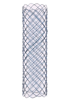 1513930673689369.bmp 膽道3.bmp